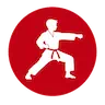 Icône Karate Shotokan Ados